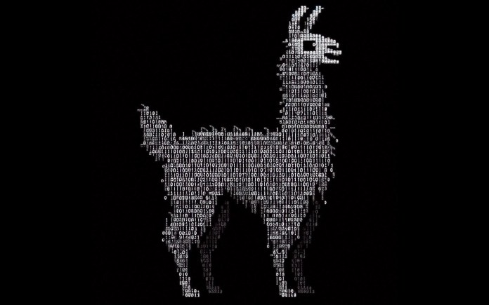 binary llama