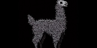 binary llama
