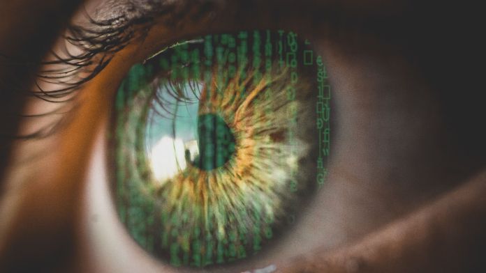 biological and computer vision