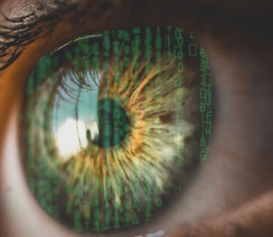 biological and computer vision