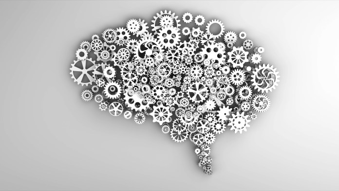 brain gears