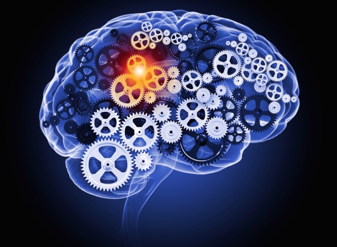 brain gears