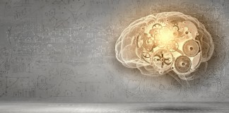 Brain gears