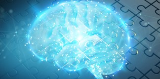 brain puzzle ai common sense