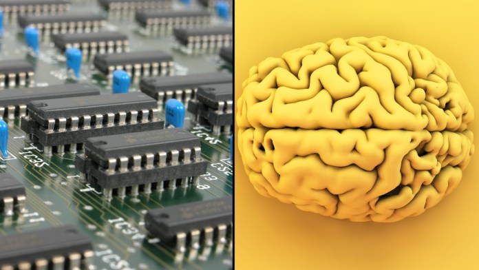 brain vs integrated circuits