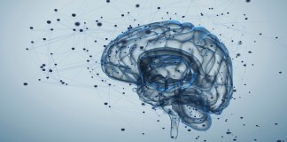 Brain activity