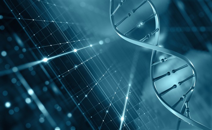 dna genome