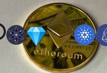 Ethereum alternatives