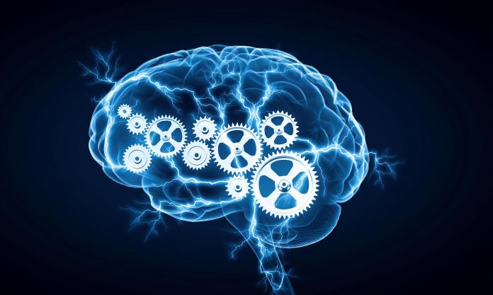 human brain gears