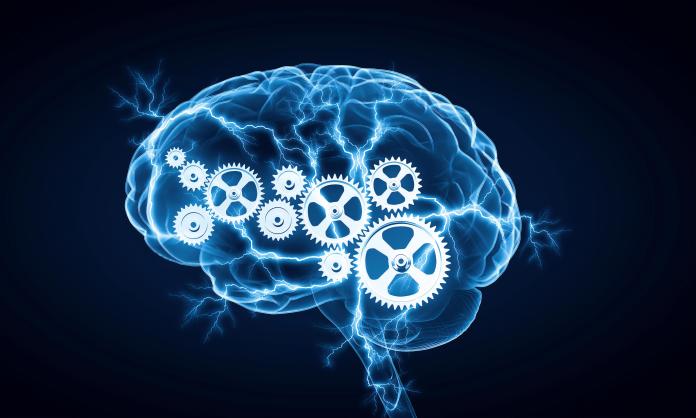 human brain gears