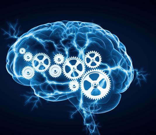 human brain gears