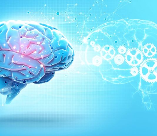 human brains and AI