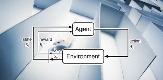mouse maze reinforcement learning