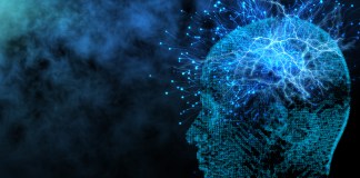 natural and digital brain