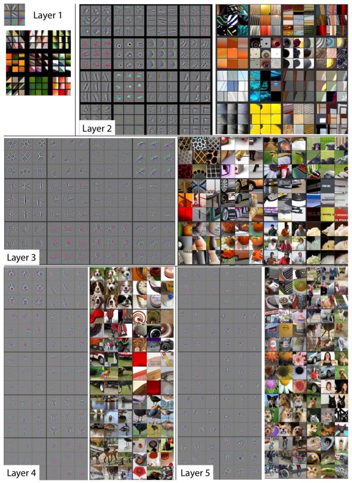 neural networks layers visualization