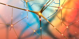neural networks