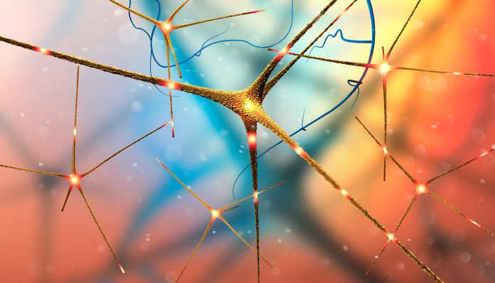 neural networks