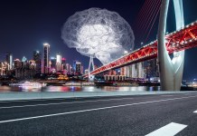 self-driving car brain