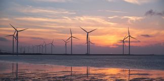 sustainability