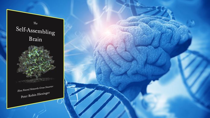 The Self-Assembling brain