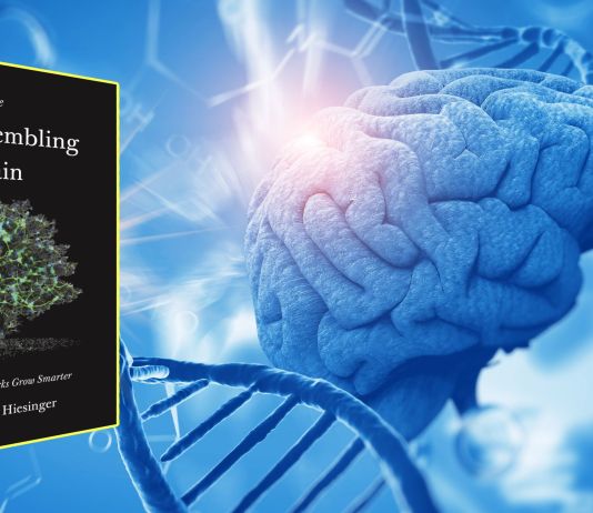 The Self-Assembling brain