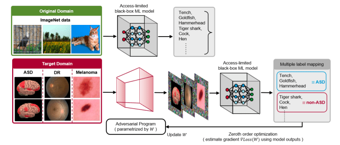 Black-box adversarial reprogramming