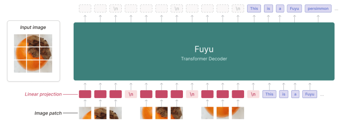 fuyu architecture