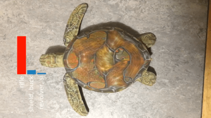 turtle rifle